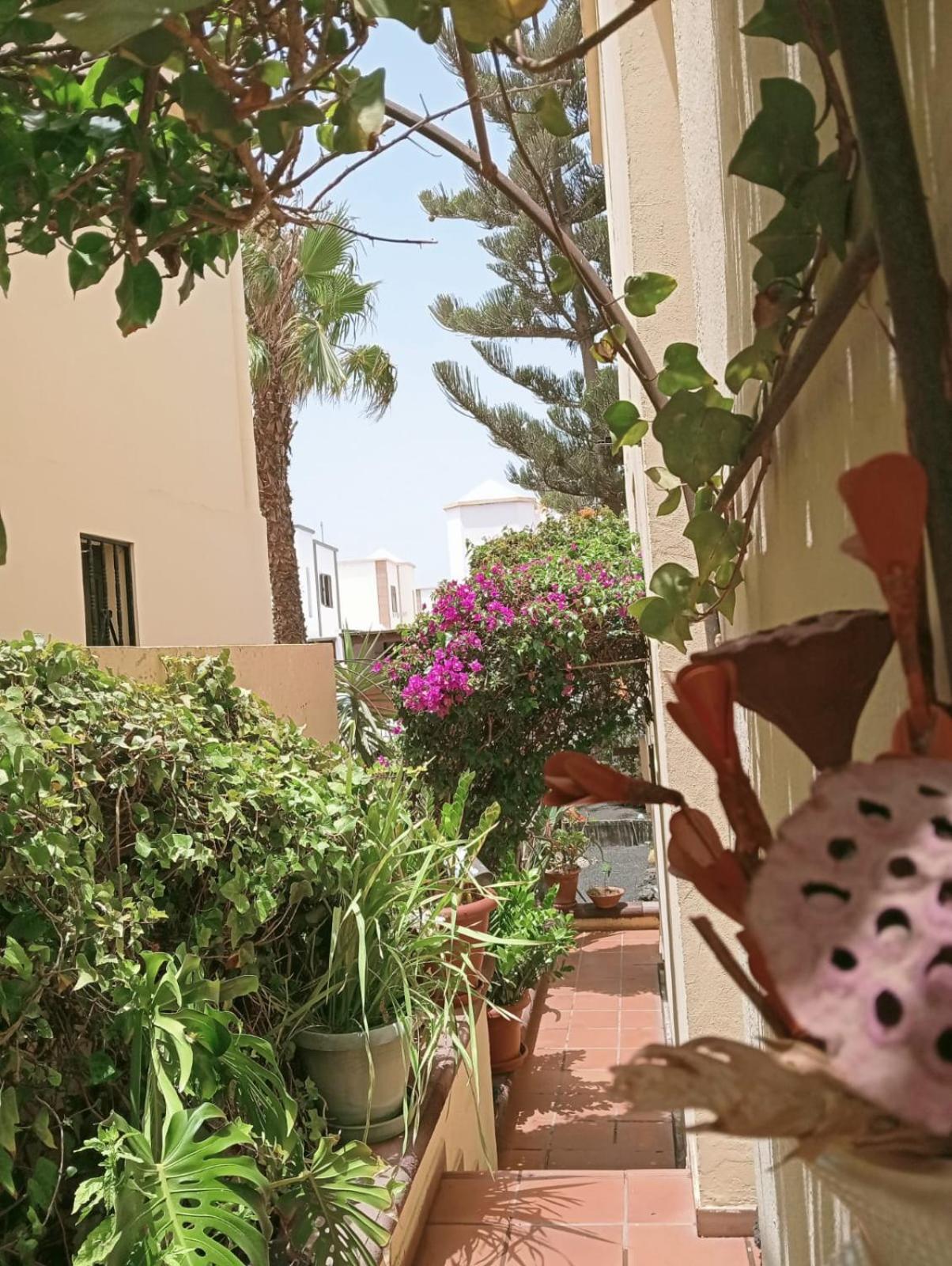 Casa Noray 18 * Playa Honda (Lanzarote)